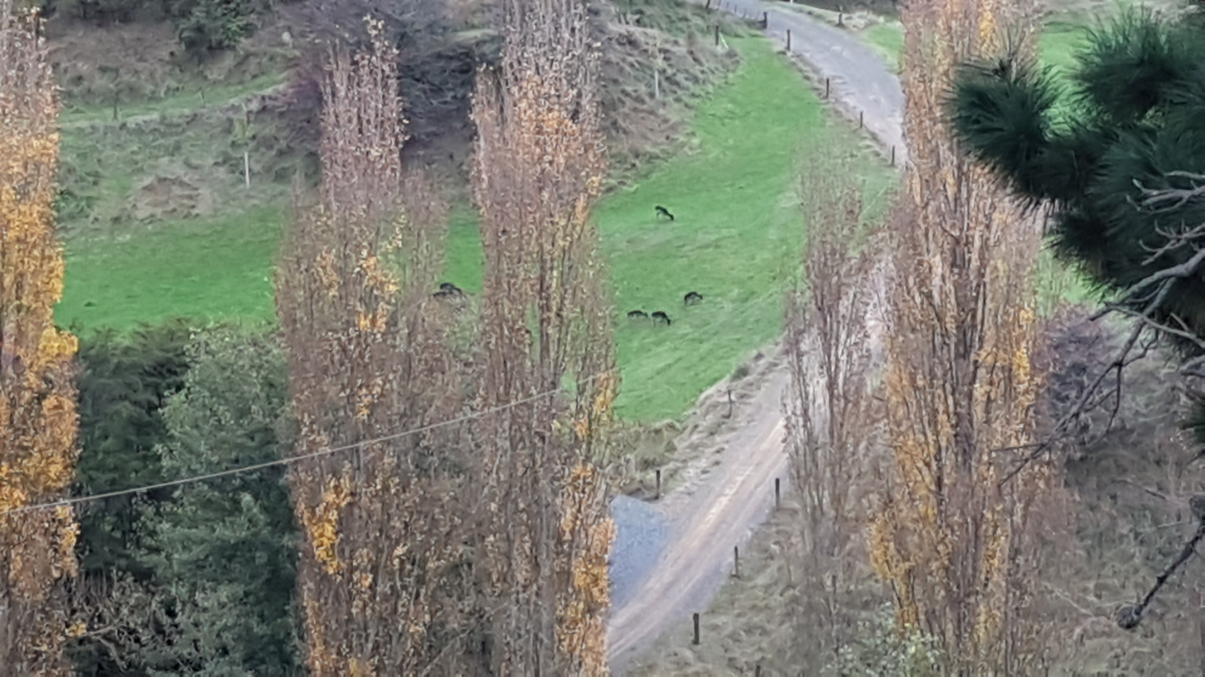 Name:  20200502_154743.jpg
Views: 557
Size:  1.99 MB