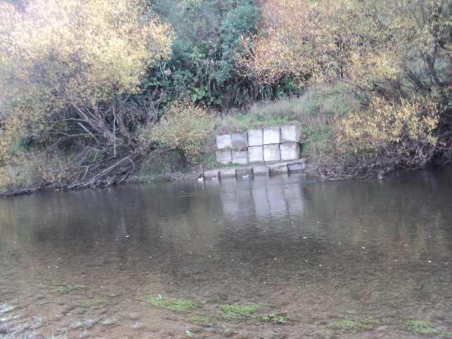 Name:  picture 01 839.jpg
Views: 599
Size:  165.1 KB