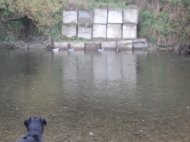 Name:  picture 01 840.jpg
Views: 581
Size:  164.9 KB