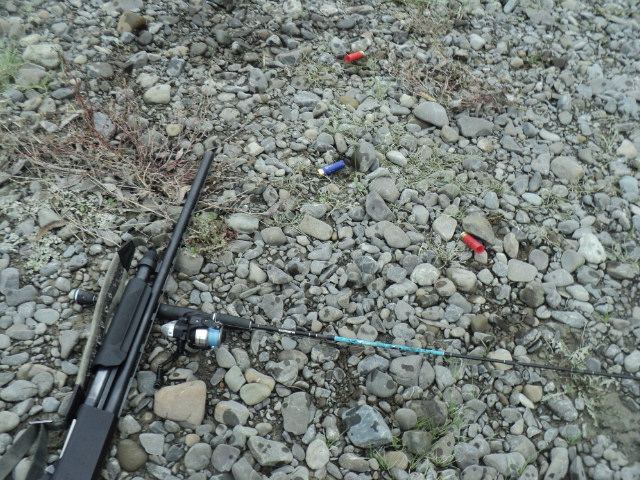 Name:  picture 01 841.jpg
Views: 604
Size:  164.3 KB