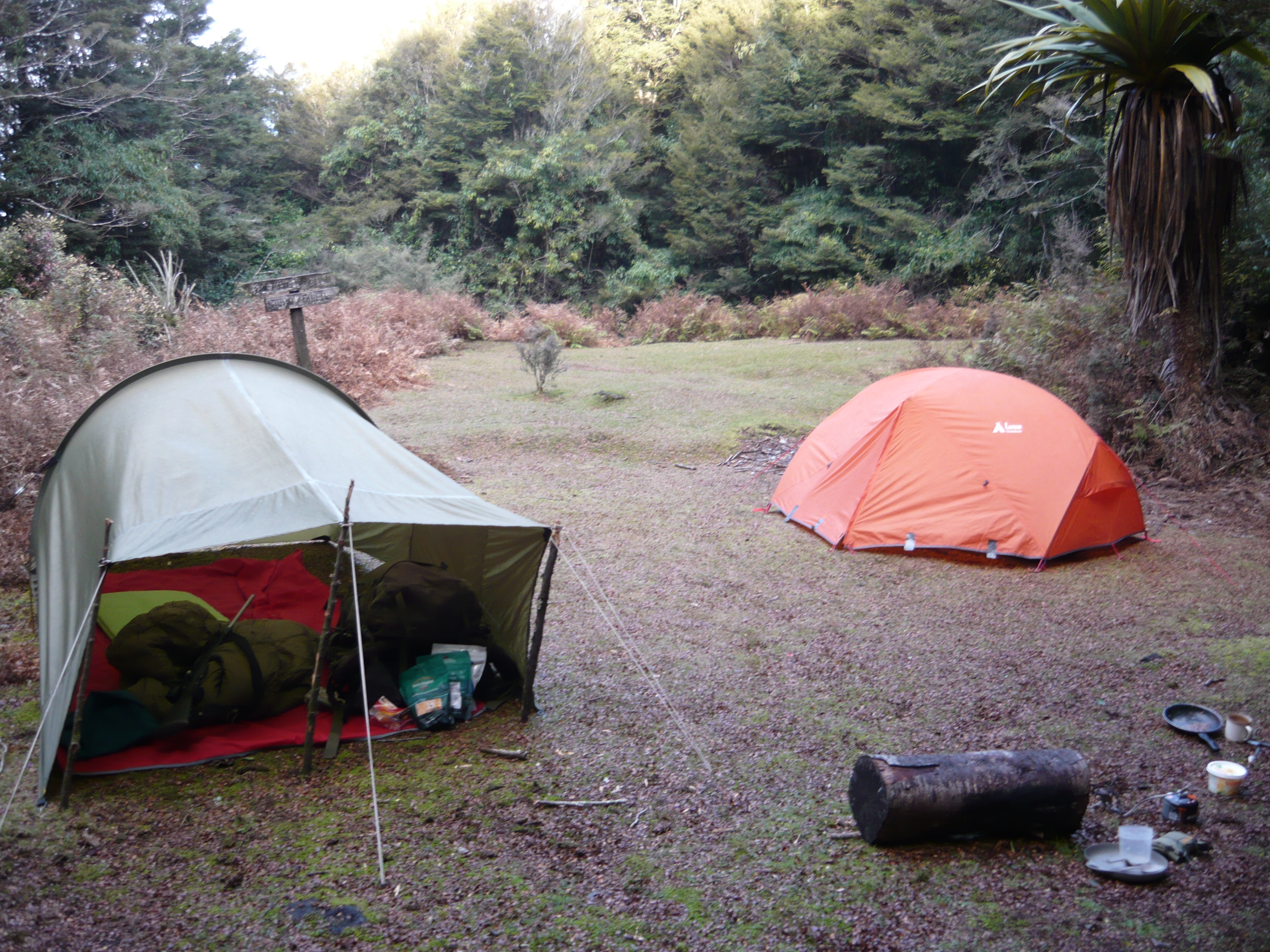 Name:  P1030269.JPG
Views: 772
Size:  3.87 MB
