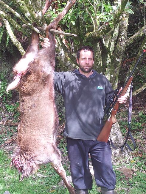 Name:  stag pic.JPG
Views: 934
Size:  158.6 KB