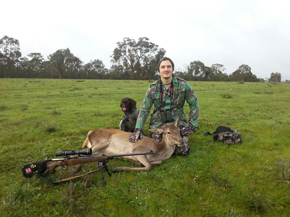 Name:  Red hind.JPG
Views: 655
Size:  213.3 KB