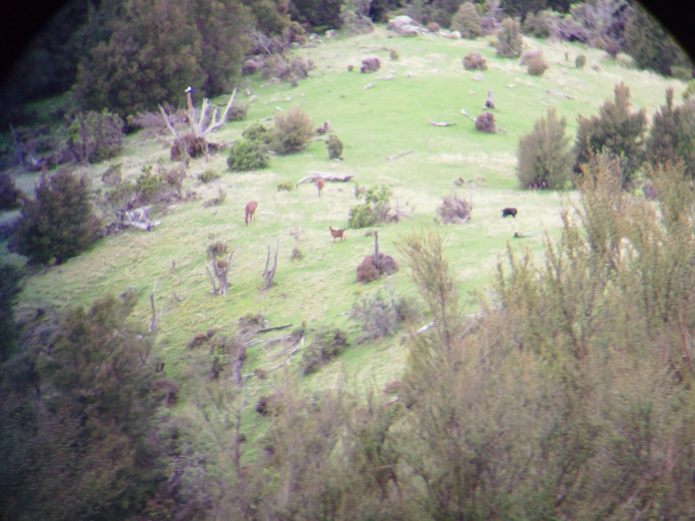 Name:  social club trip 2013-2 012.jpg
Views: 432
Size:  506.7 KB