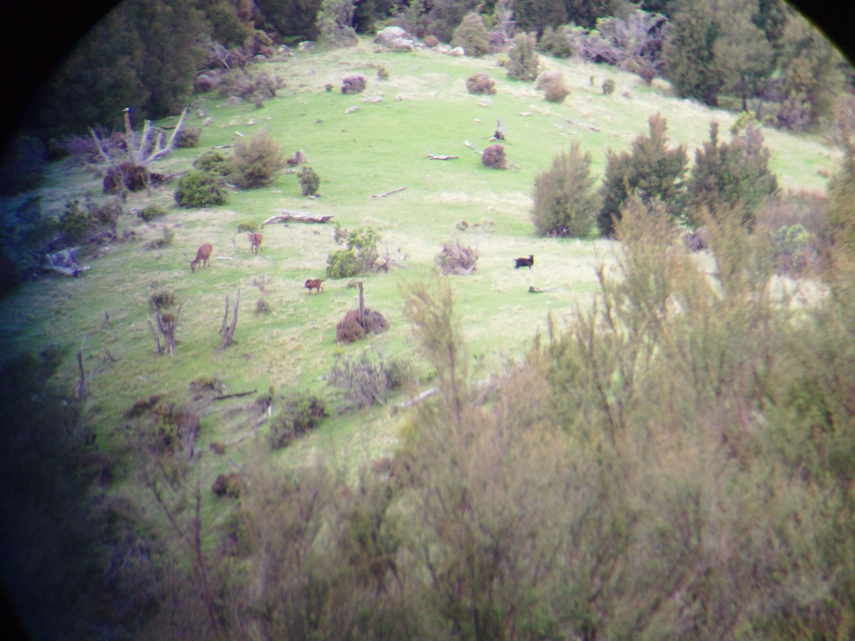 Name:  social club trip 2013-2 013.jpg
Views: 574
Size:  497.9 KB