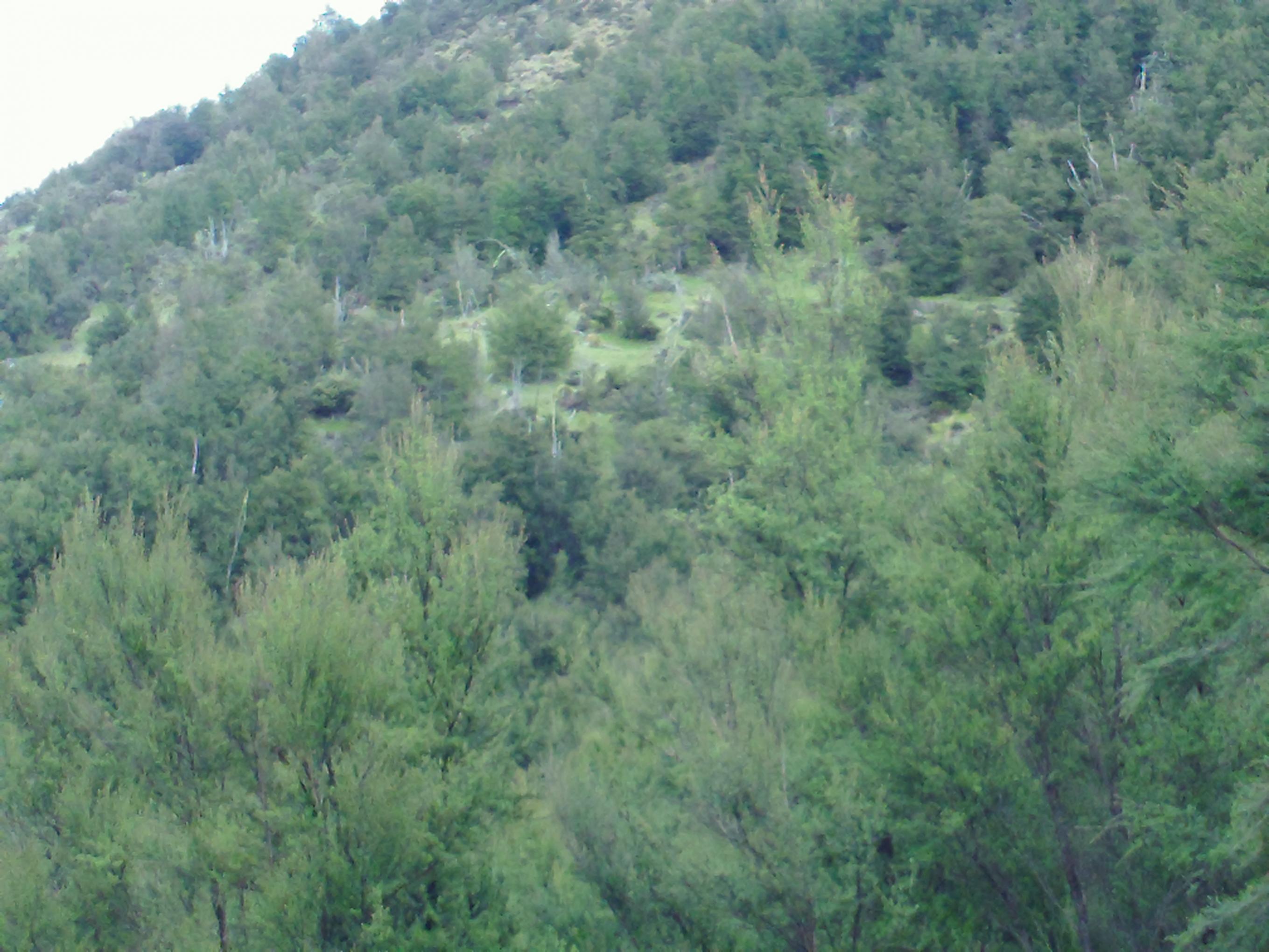 Name:  social club trip 2013-2 020.jpg
Views: 596
Size:  436.4 KB