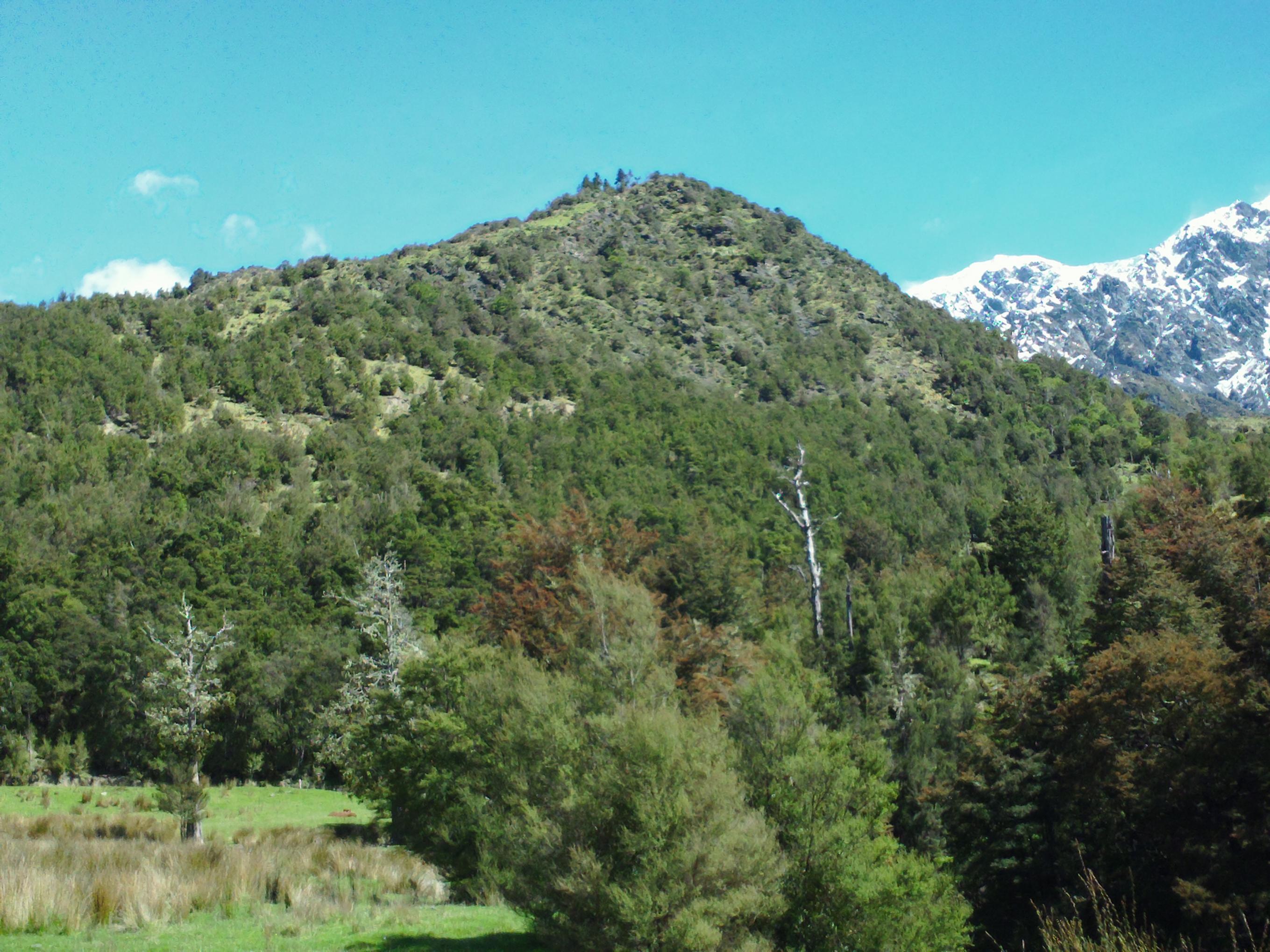 Name:  social club trip 2013-2 026.jpg
Views: 434
Size:  678.4 KB