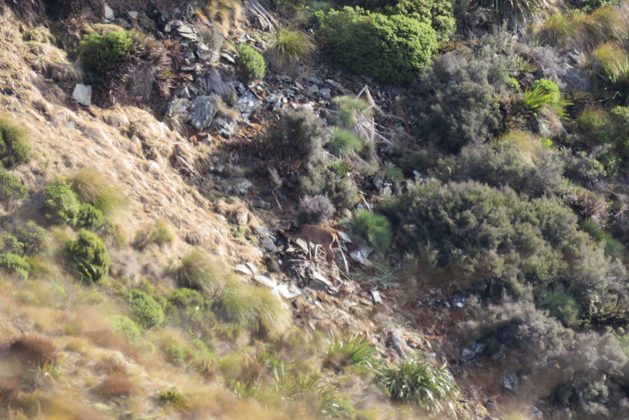 Name:  28580096_Unknown.JPG
Views: 745
Size:  494.2 KB