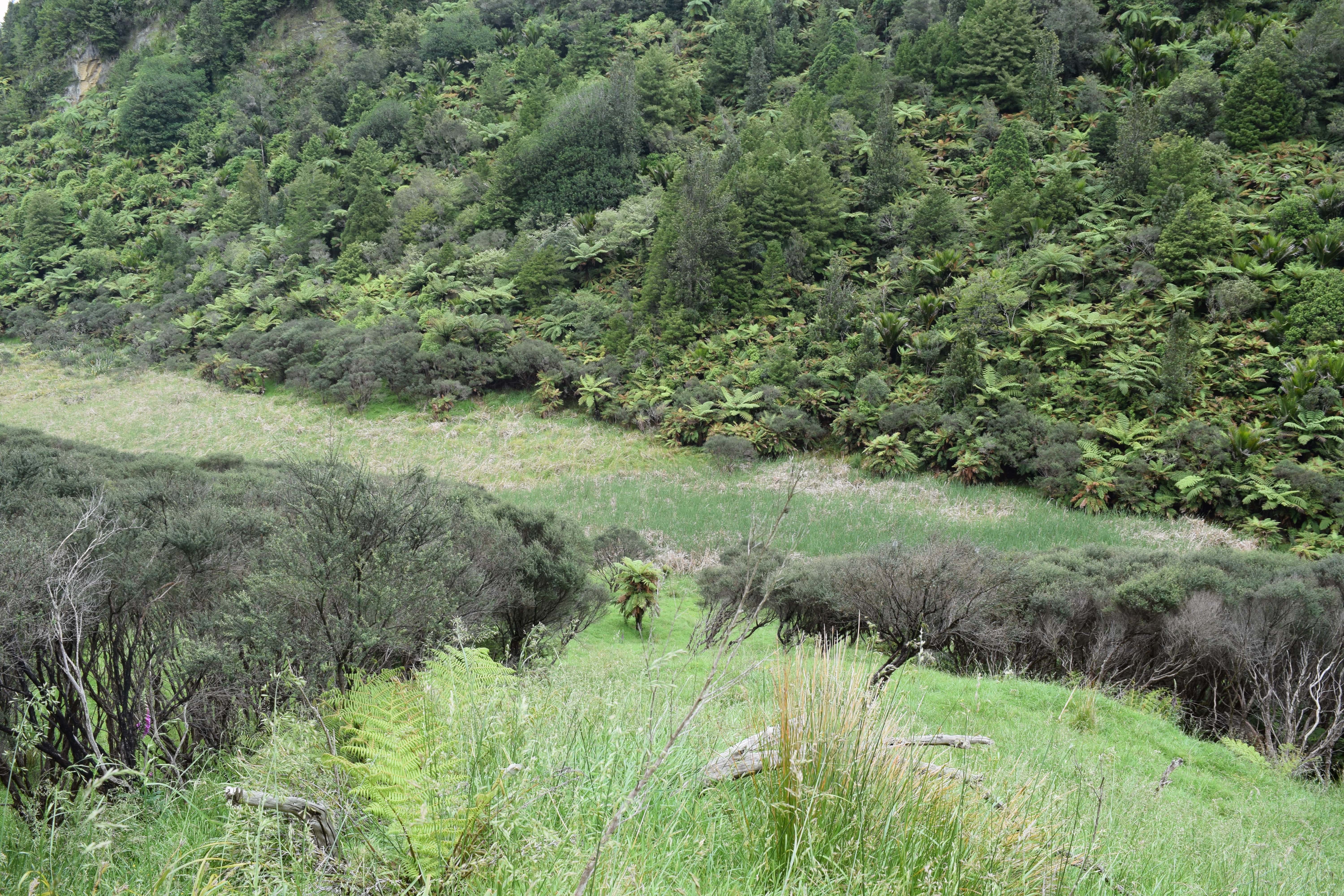 Name:  DSC_0077-min.JPG
Views: 1687
Size:  2.82 MB