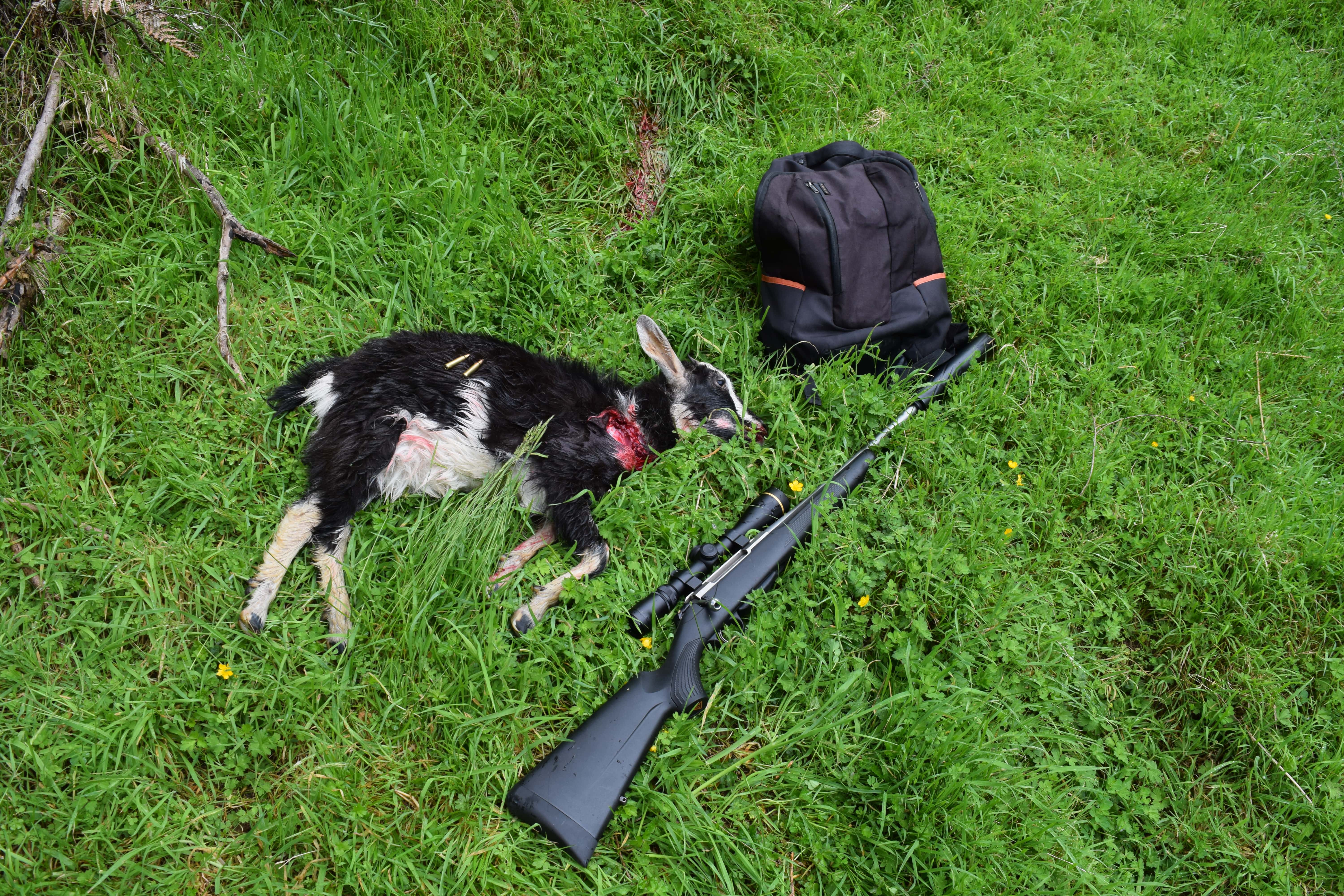 Name:  DSC_0073-min.JPG
Views: 1695
Size:  2.65 MB