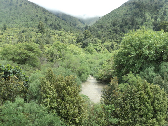Name:  picture 01 2019.jpg
Views: 667
Size:  163.3 KB