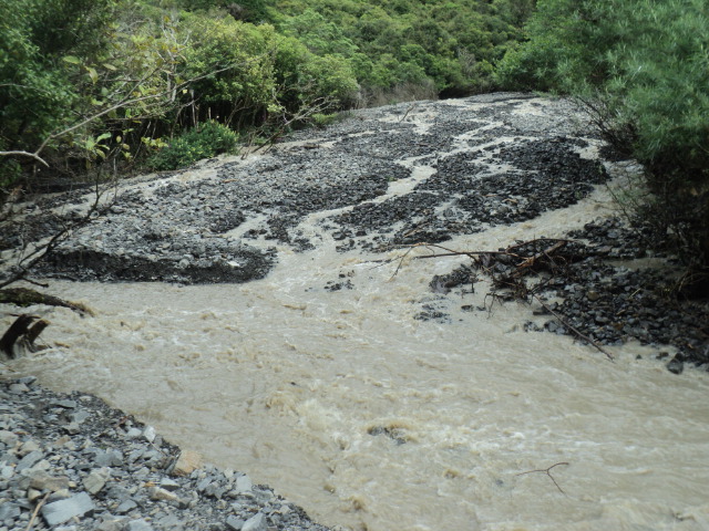 Name:  picture 01 2021.jpg
Views: 675
Size:  163.6 KB