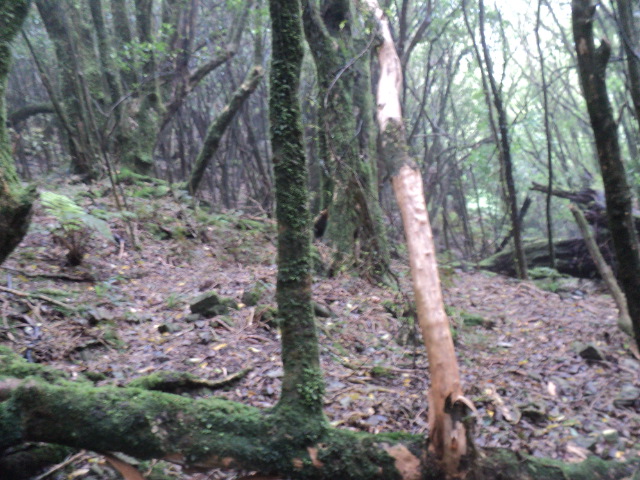 Name:  picture 01 2023.jpg
Views: 656
Size:  164.4 KB
