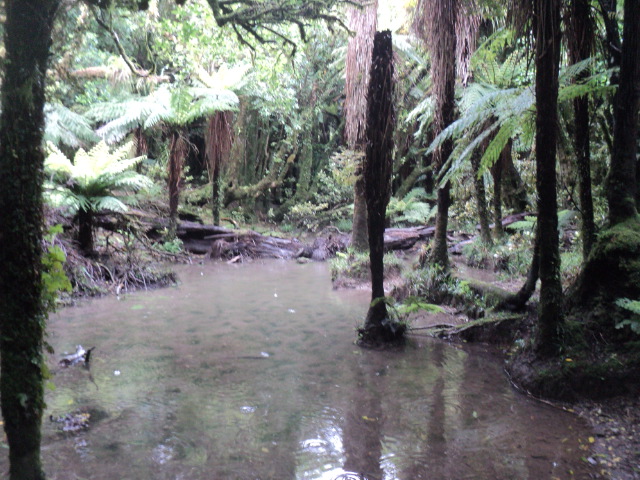 Name:  picture 01 2032.jpg
Views: 654
Size:  163.1 KB