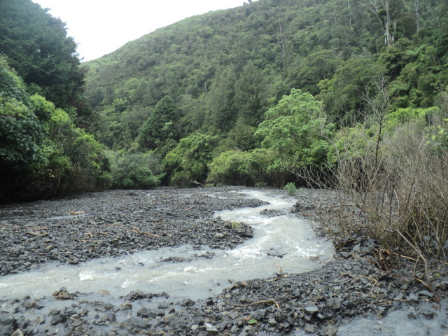 Name:  picture 01 2033.jpg
Views: 710
Size:  165.1 KB