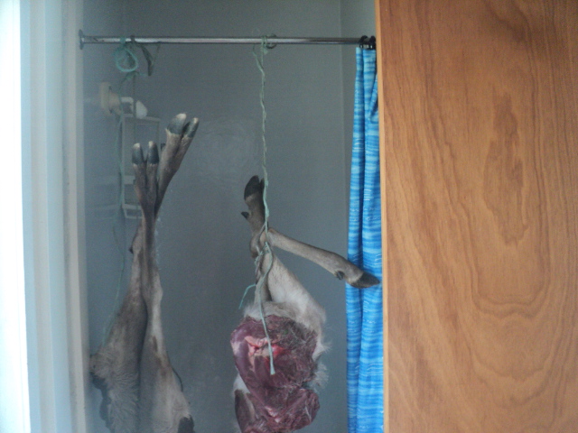 Name:  picture 01 2038.jpg
Views: 479
Size:  165.2 KB