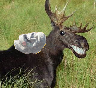 Name:  moose2.png
Views: 285
Size:  176.0 KB