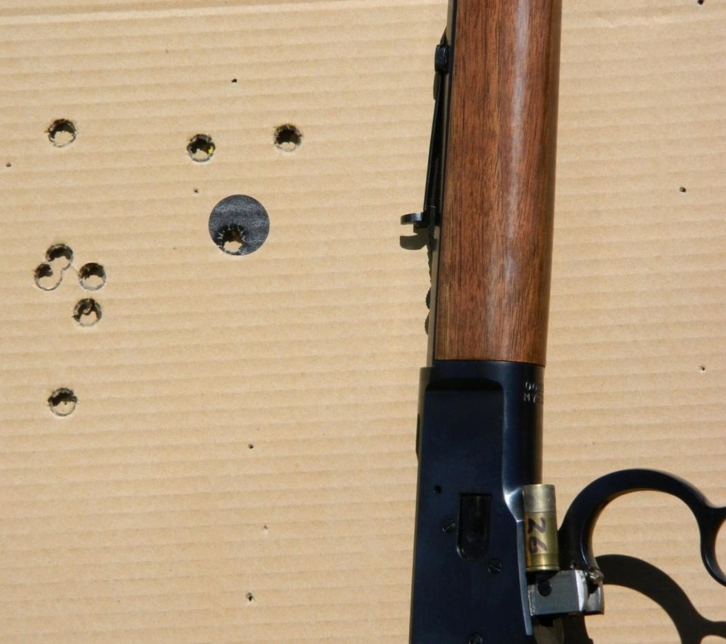 Name:  1892 .45 Colt & target013.jpg
Views: 1072
Size:  89.8 KB