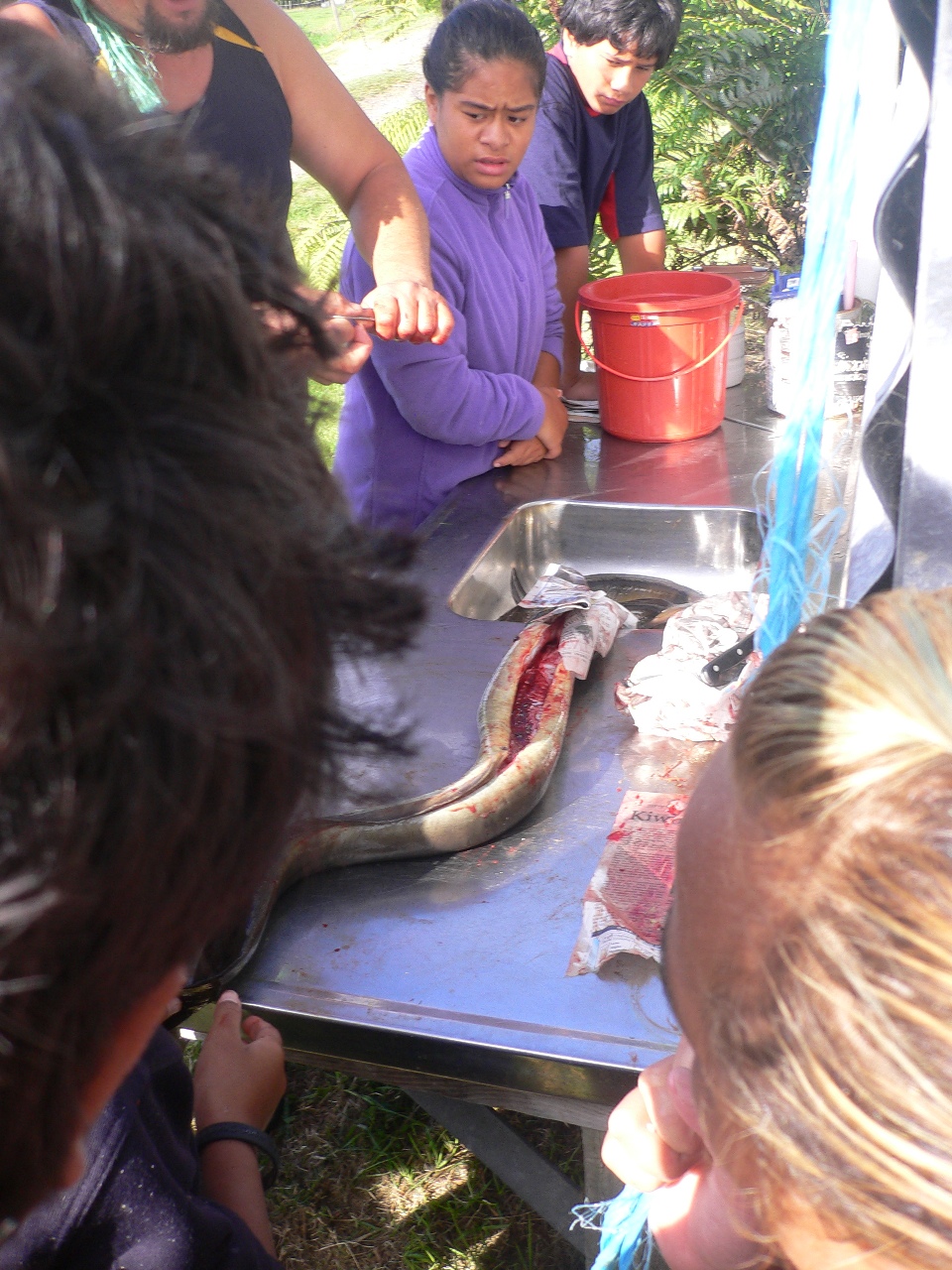 Name:  PREPARE AN EEL III.jpg
Views: 460
Size:  518.8 KB
