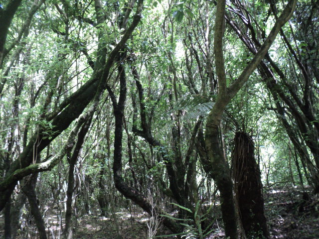 Name:  picture 01 2185.jpg
Views: 149
Size:  164.3 KB