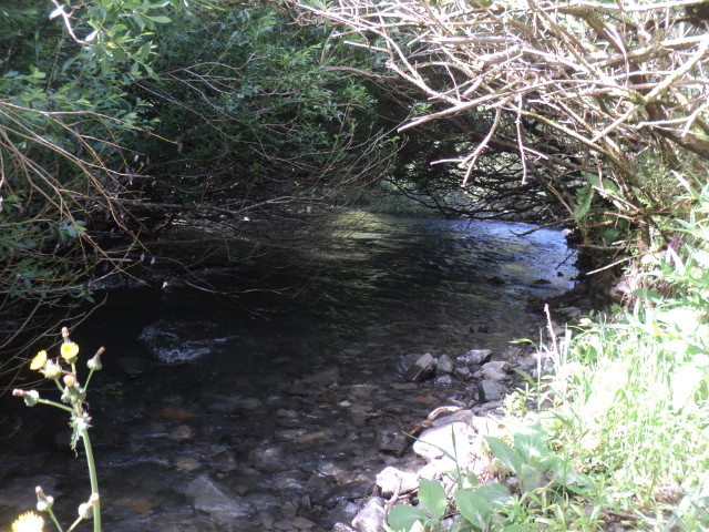 Name:  picture 01 2186.jpg
Views: 155
Size:  163.7 KB