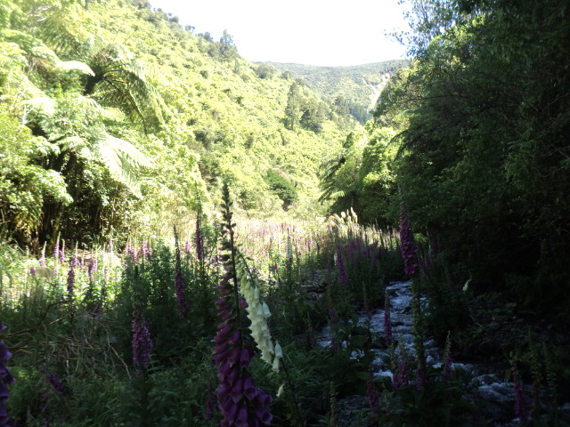 Name:  picture 01 2187.jpg
Views: 143
Size:  164.8 KB