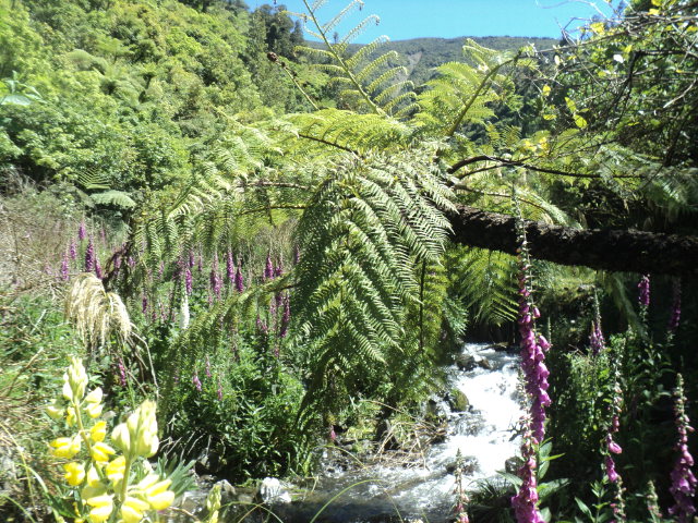 Name:  picture 01 2188.jpg
Views: 152
Size:  165.0 KB