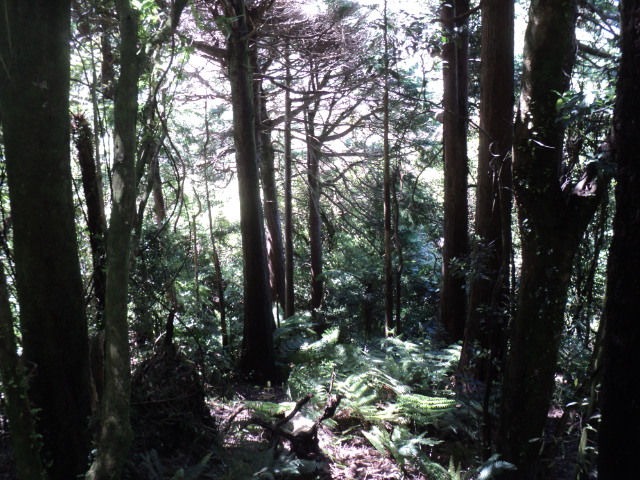 Name:  picture 01 2189.jpg
Views: 146
Size:  163.7 KB