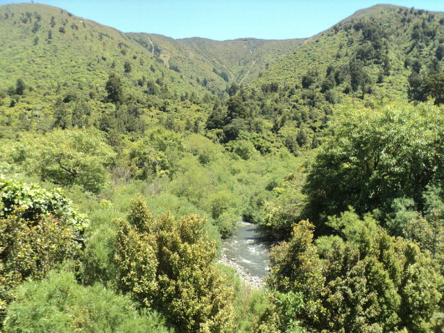 Name:  picture 01 2190.jpg
Views: 147
Size:  165.0 KB