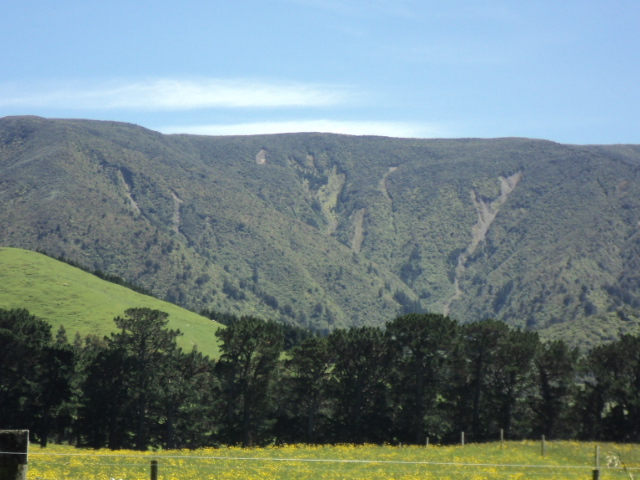Name:  picture 01 2191.jpg
Views: 155
Size:  163.7 KB
