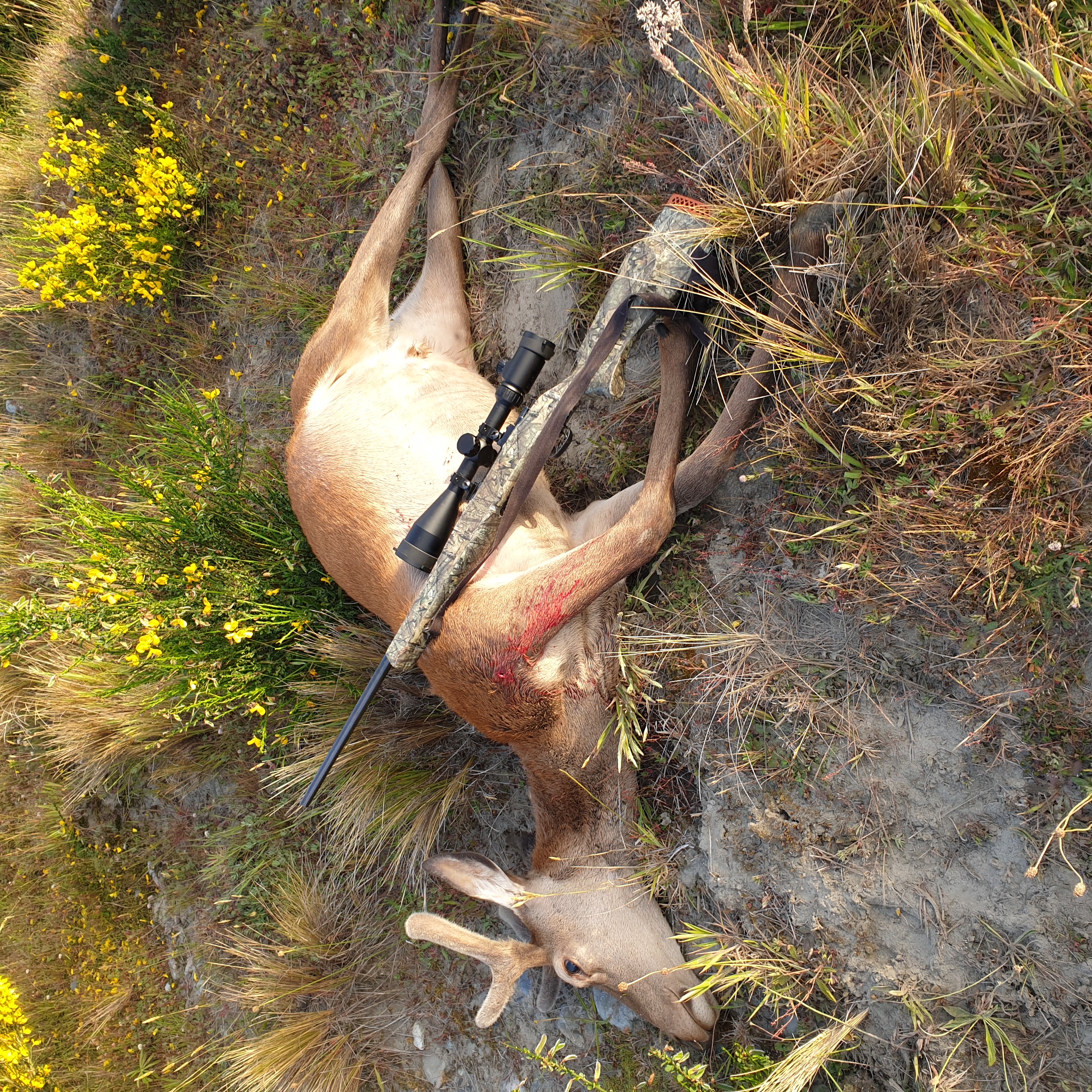 Name:  20201214_063949.jpg
Views: 539
Size:  3.35 MB