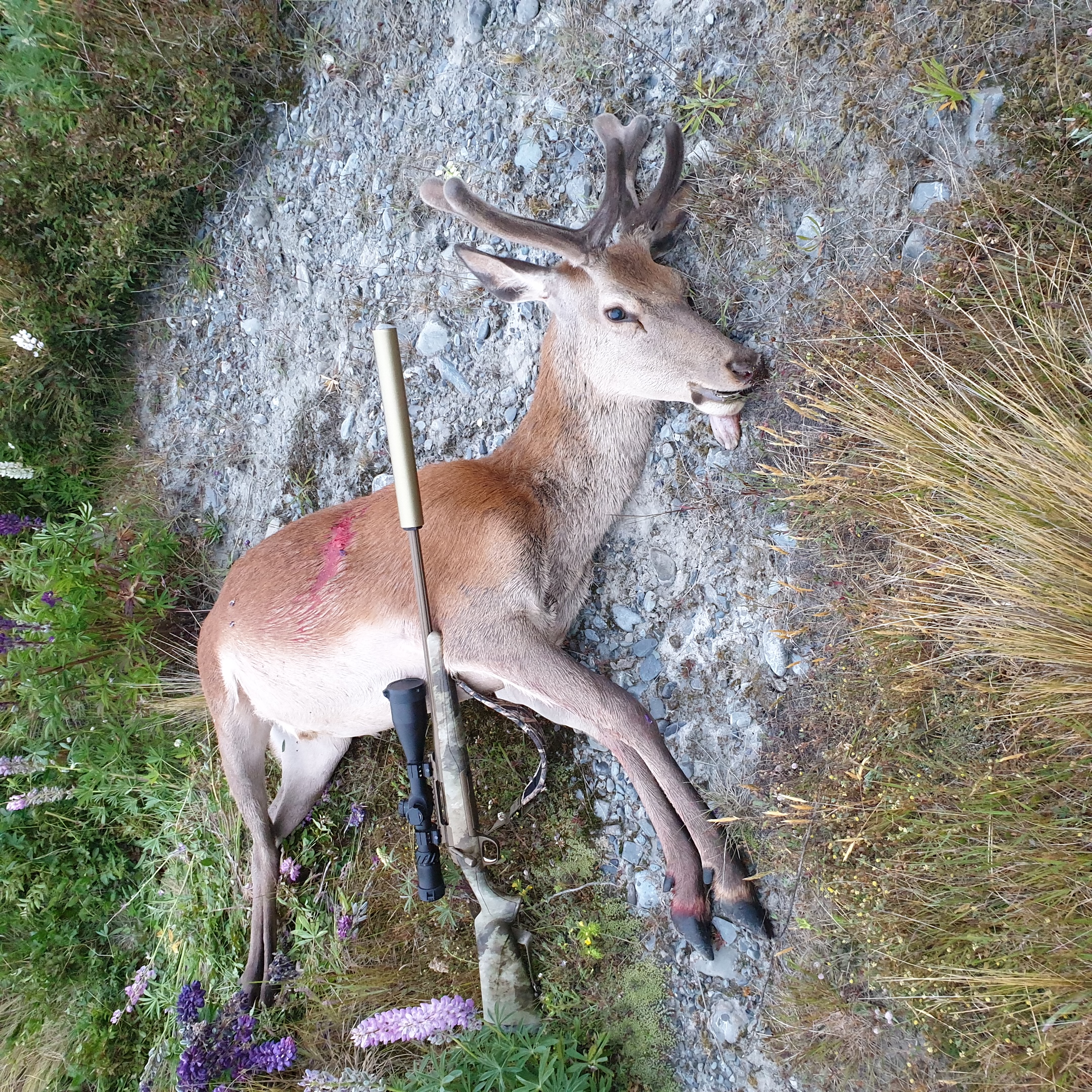 Name:  20201214_055923.jpg
Views: 512
Size:  3.24 MB