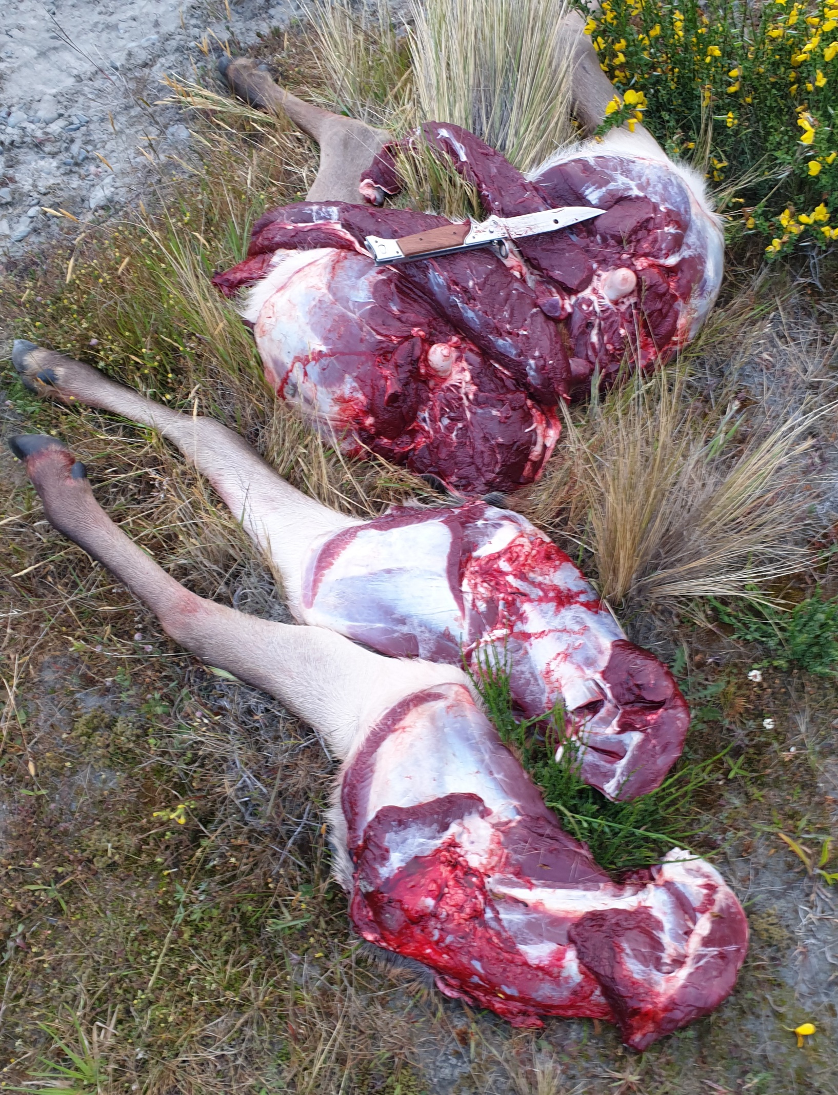 Name:  20201214_163455.jpg
Views: 328
Size:  1.40 MB