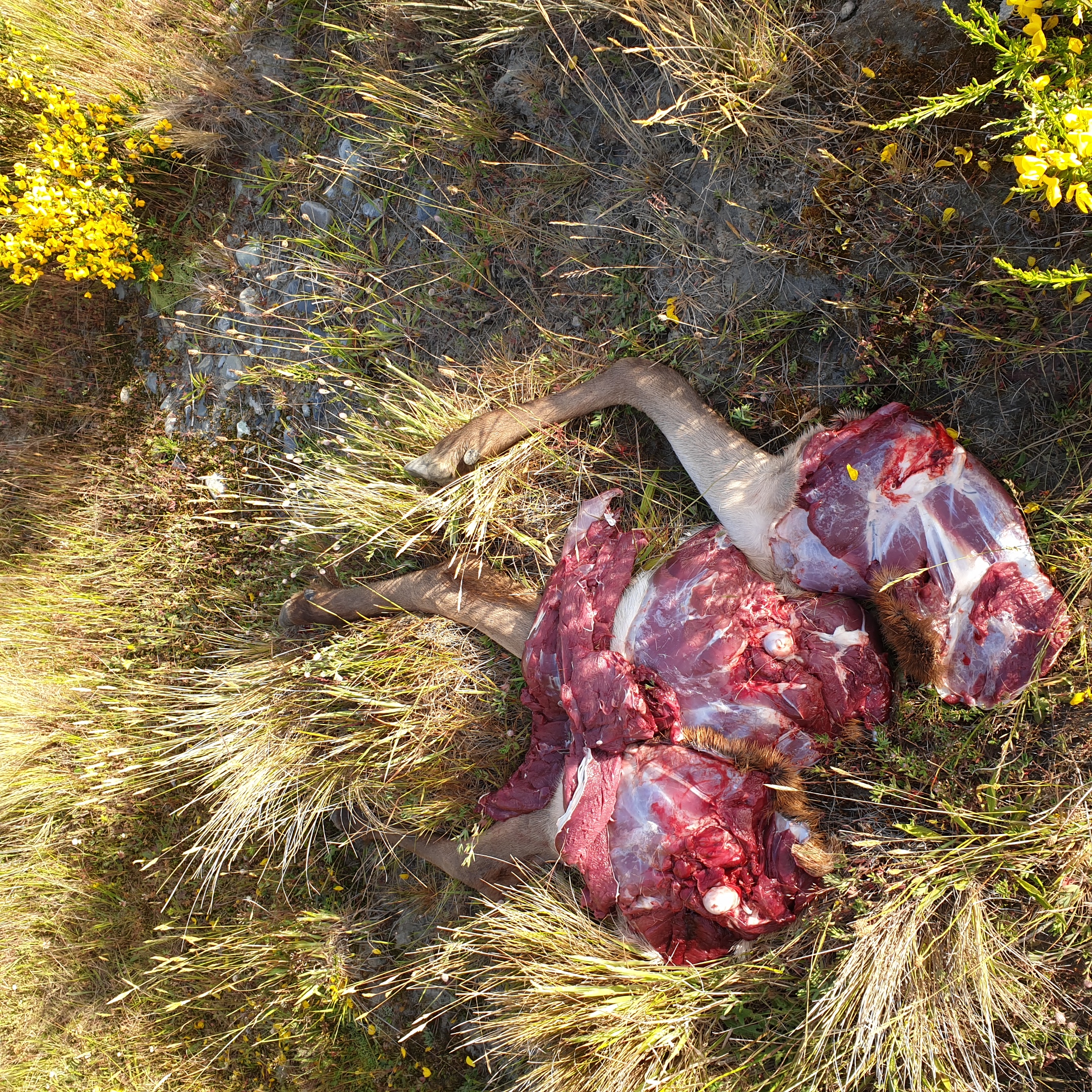 Name:  20201214_070257.jpg
Views: 490
Size:  3.75 MB