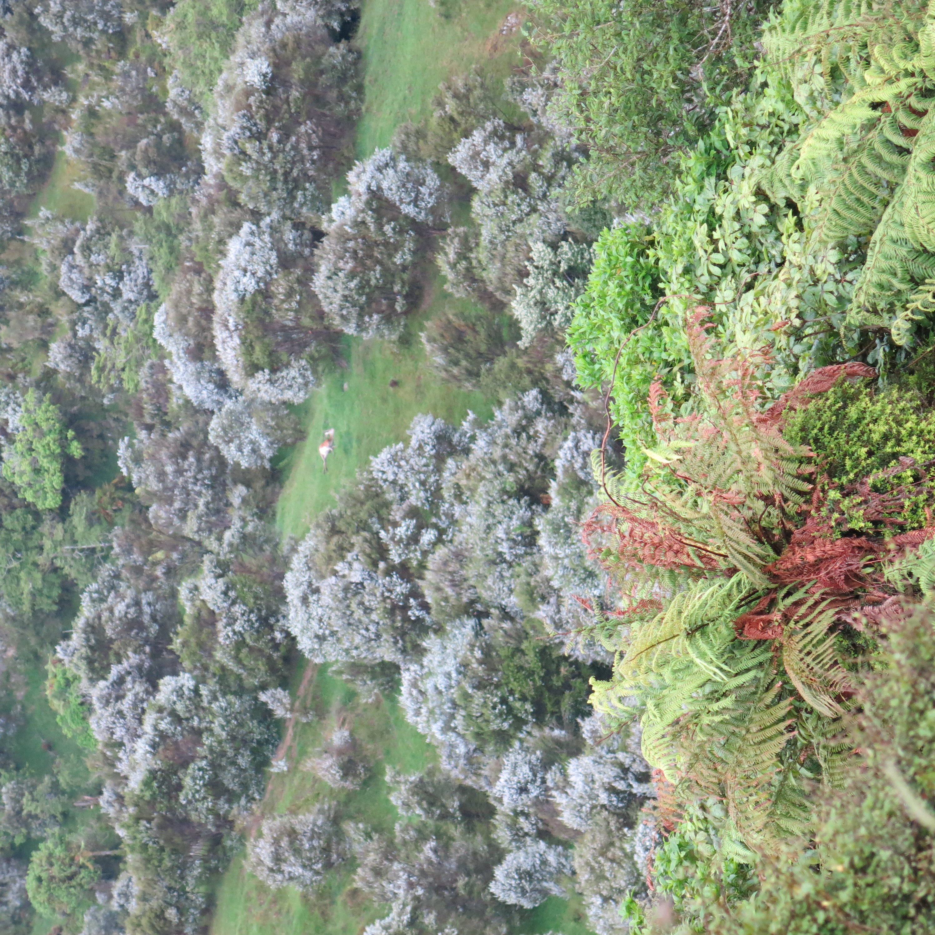 Name:  IMG_1372.jpg
Views: 879
Size:  3.77 MB