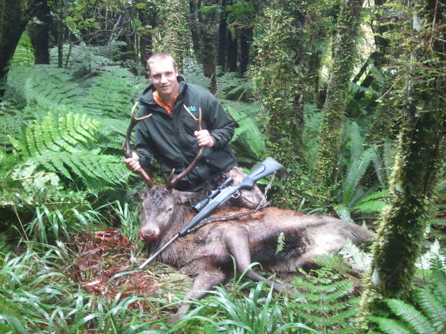 Name:  Rambo rem 700.jpg
Views: 409
Size:  97.1 KB