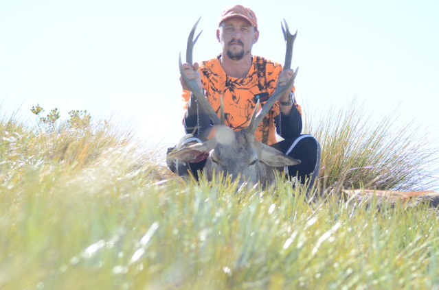 Name:  Malhunting 4.jpg
Views: 495
Size:  84.6 KB