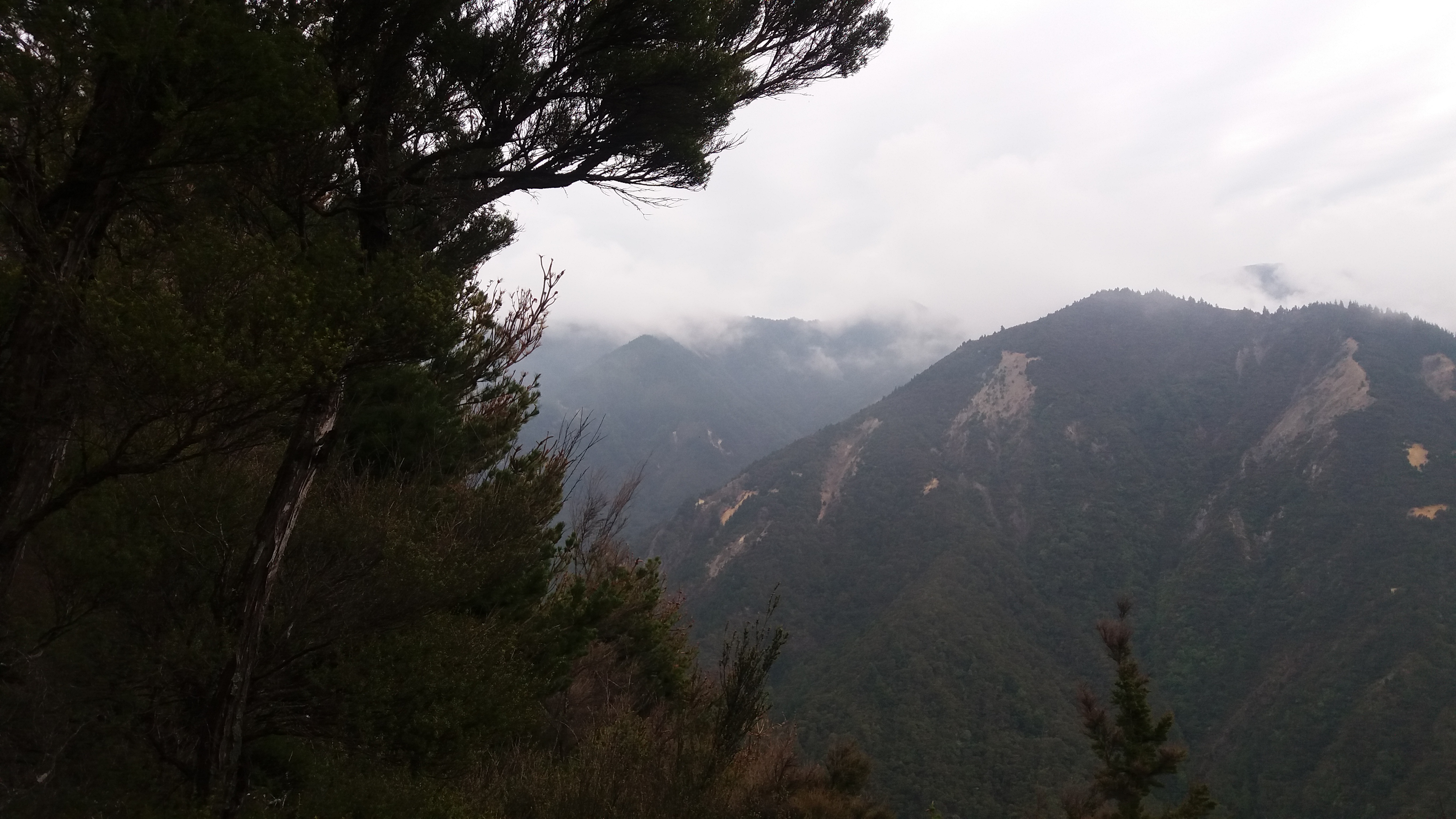 Name:  20210215_104223.jpg
Views: 646
Size:  2.55 MB