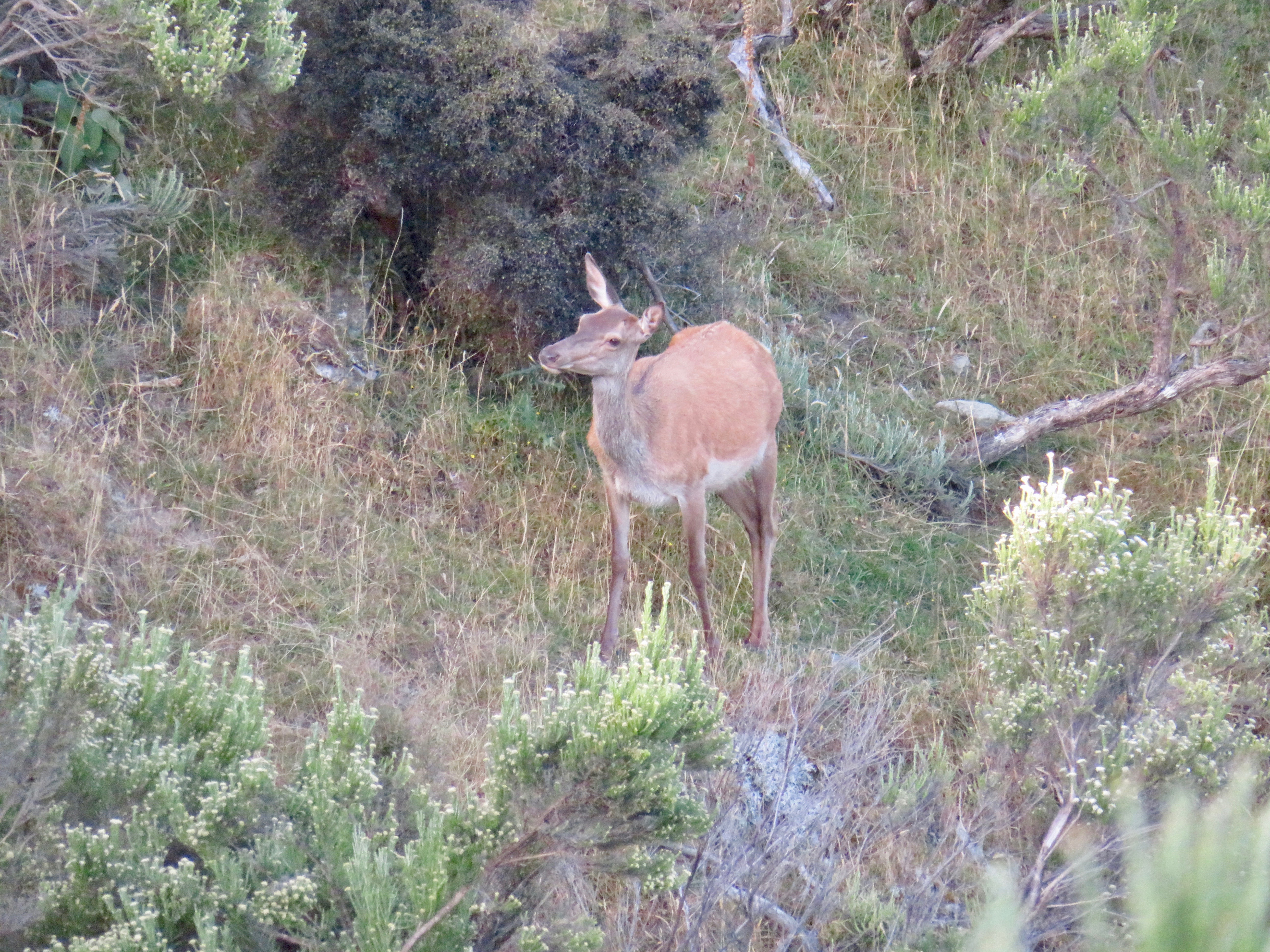 Name:  IMG_2283.jpeg
Views: 298
Size:  5.84 MB