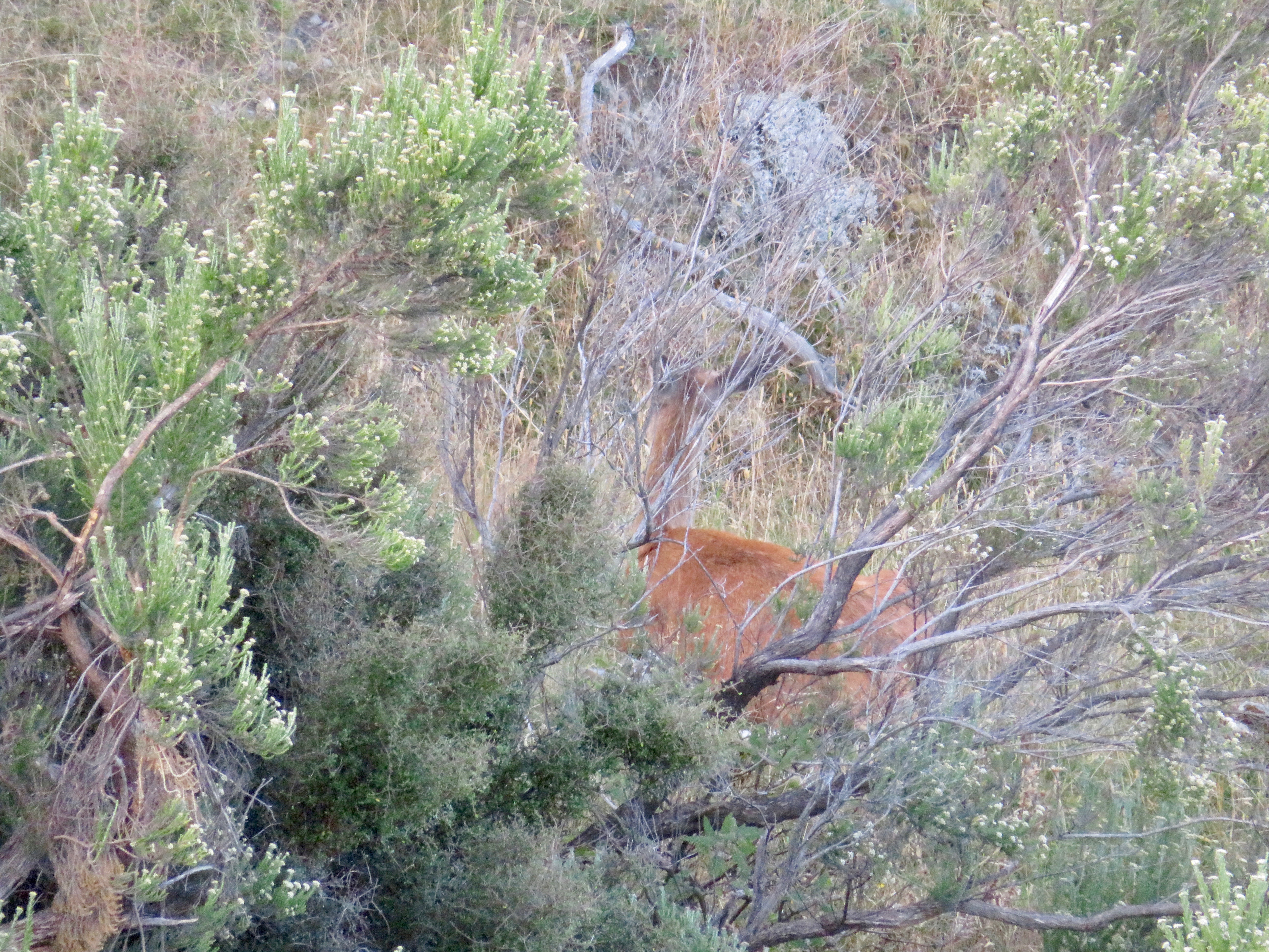 Name:  IMG_2289.jpeg
Views: 279
Size:  6.25 MB
