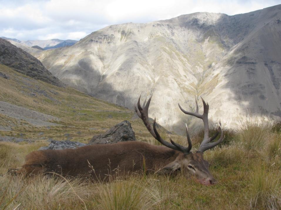 Name:  Kudu 2.jpg
Views: 380
Size:  93.4 KB