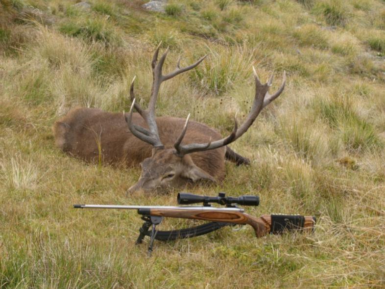 Name:  Kudu 4.jpg
Views: 385
Size:  87.4 KB