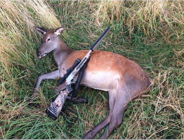 Name:  hind.JPG
Views: 388
Size:  114.9 KB
