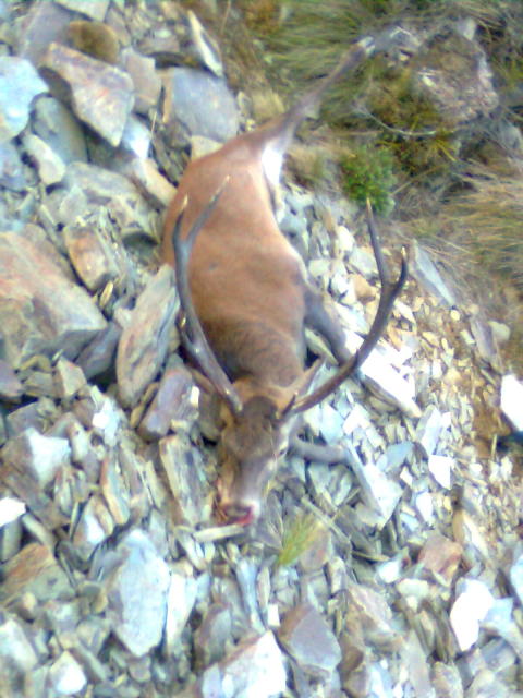 Name:  V cam 1.jpg
Views: 370
Size:  70.3 KB