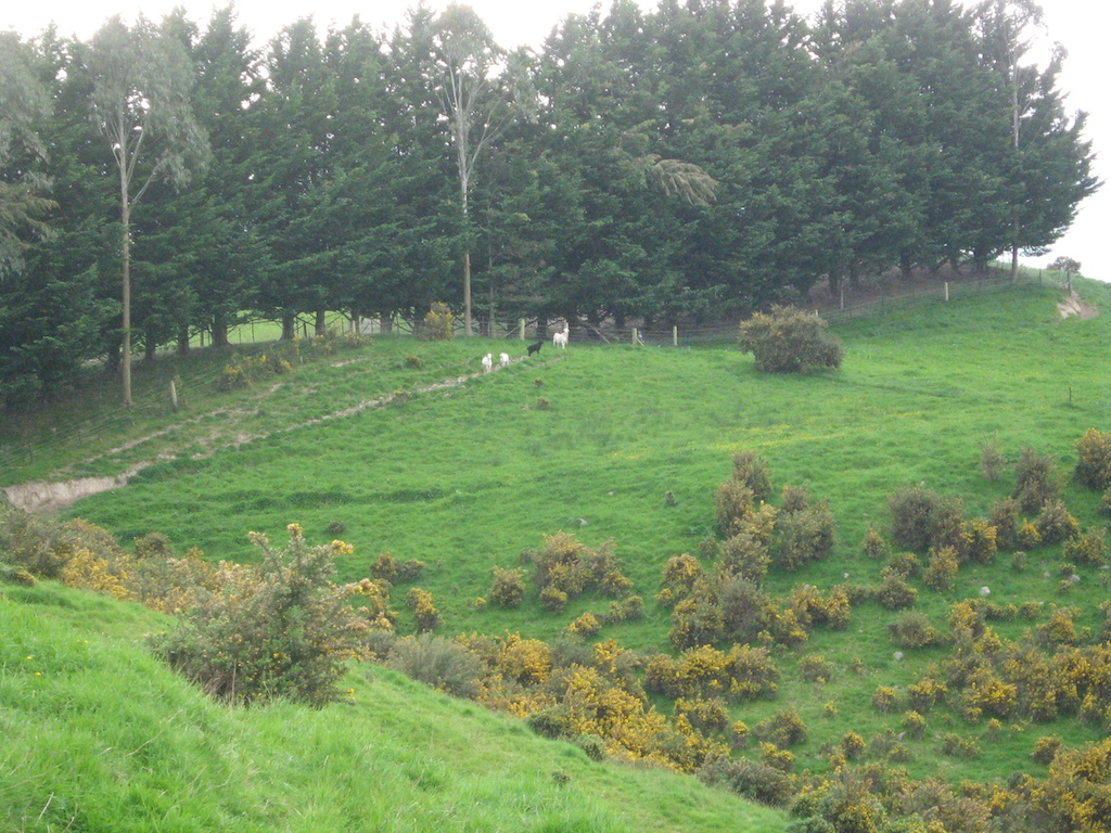 Name:  IMG_9712b.jpg
Views: 437
Size:  423.0 KB
