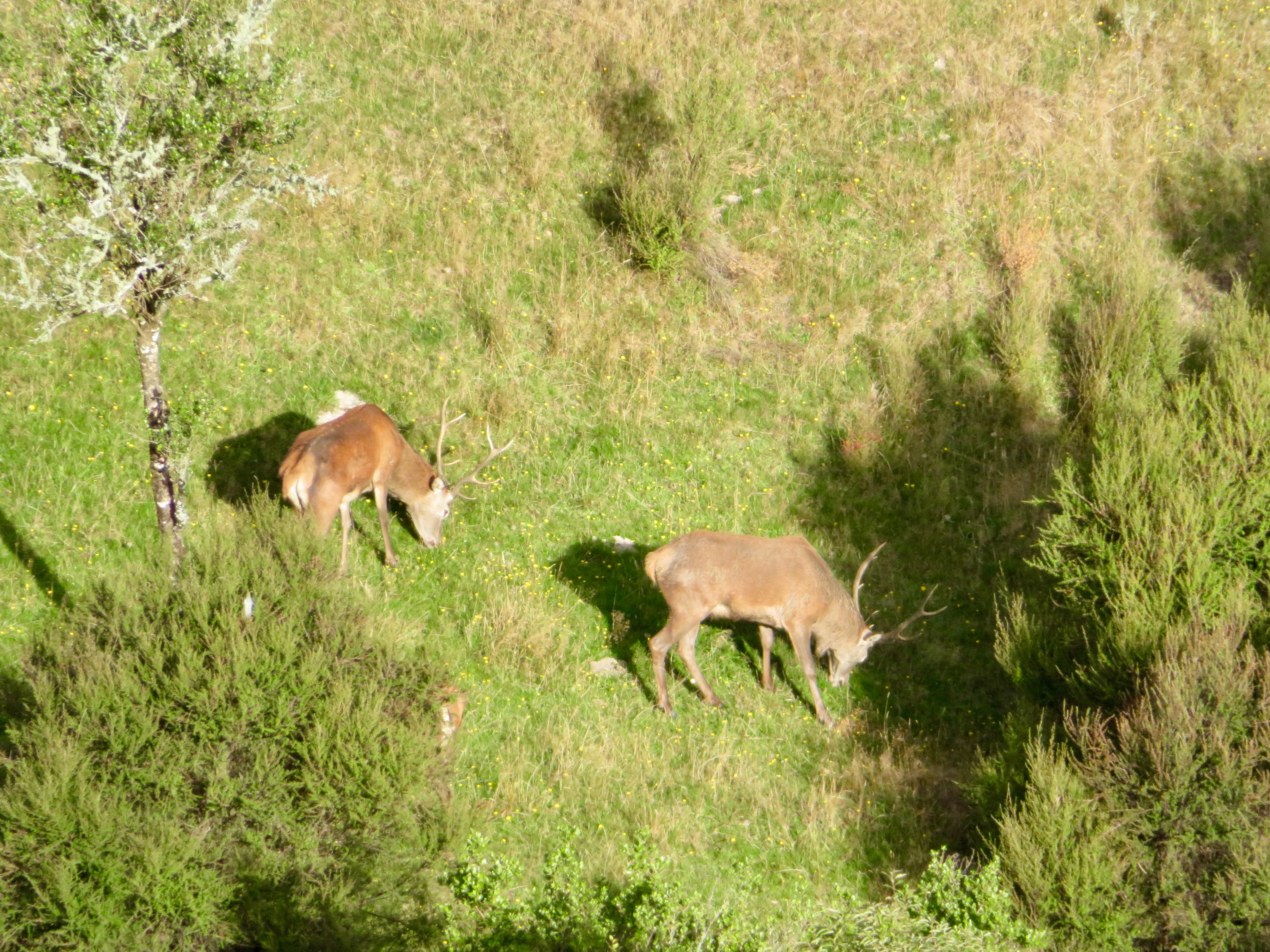Name:  IMG_2299.jpeg
Views: 684
Size:  6.22 MB