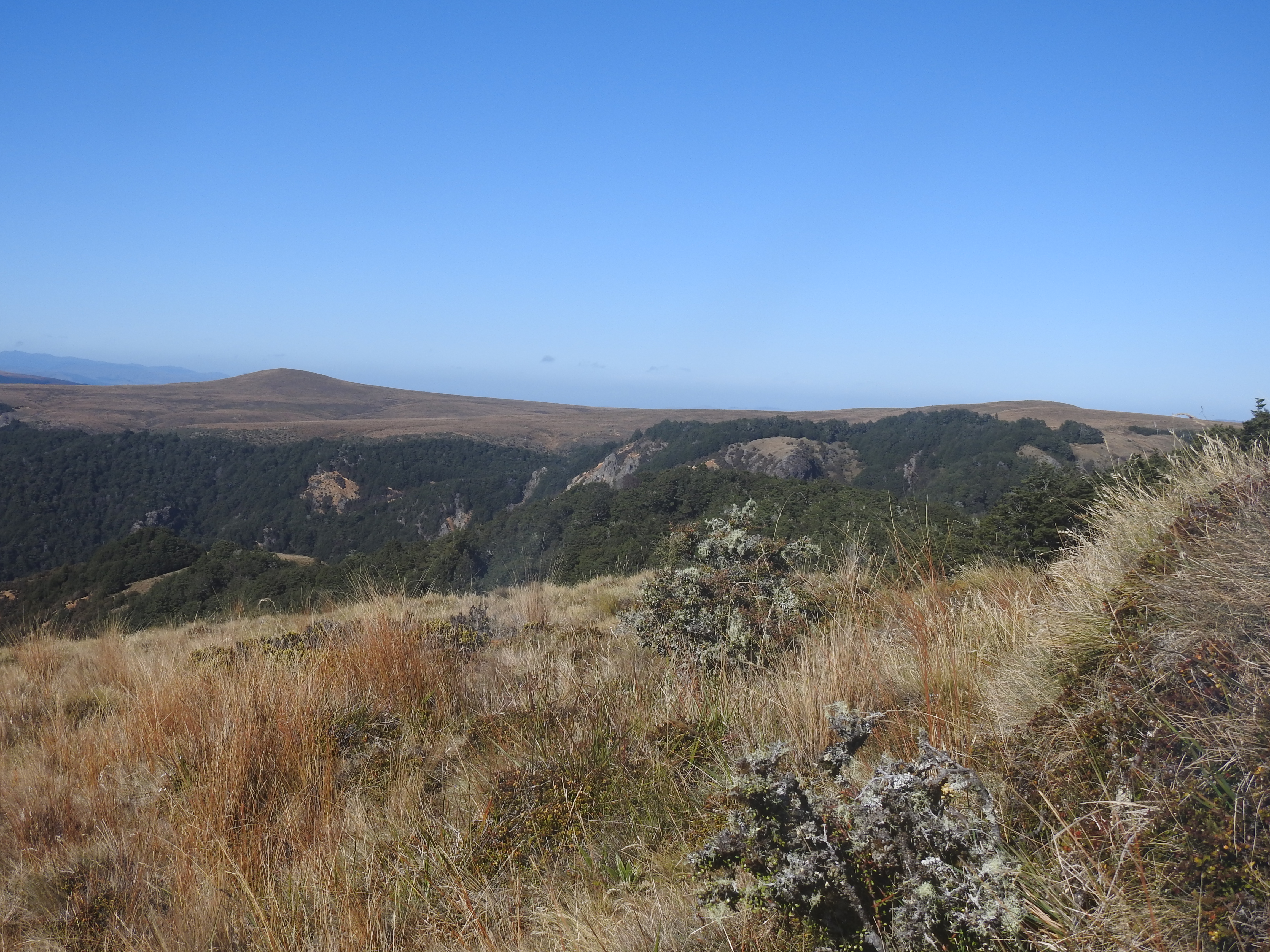 Name:  DSCN0798.JPG
Views: 1158
Size:  6.61 MB