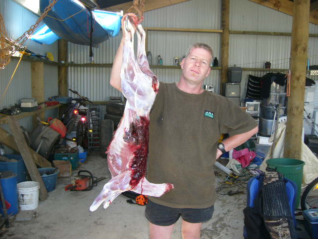 Name:  fal.jpg
Views: 212
Size:  65.2 KB