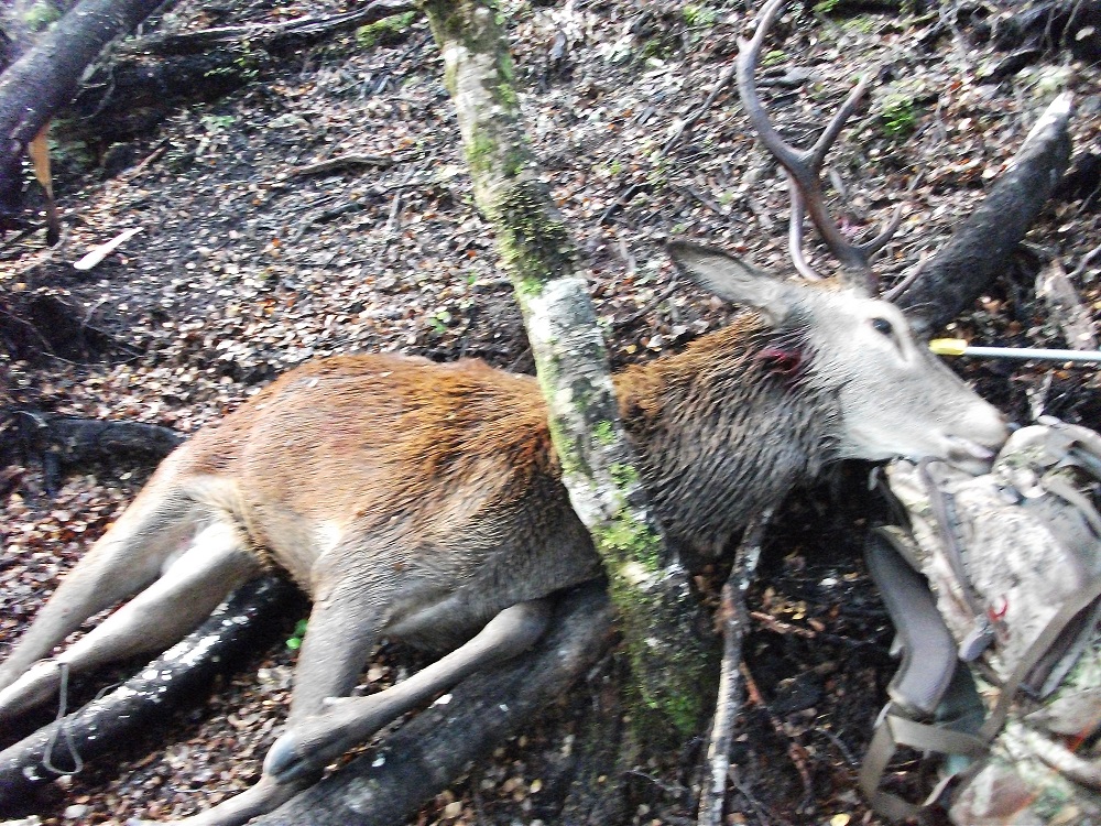 Name:  DSCF1120.JPG
Views: 404
Size:  533.6 KB