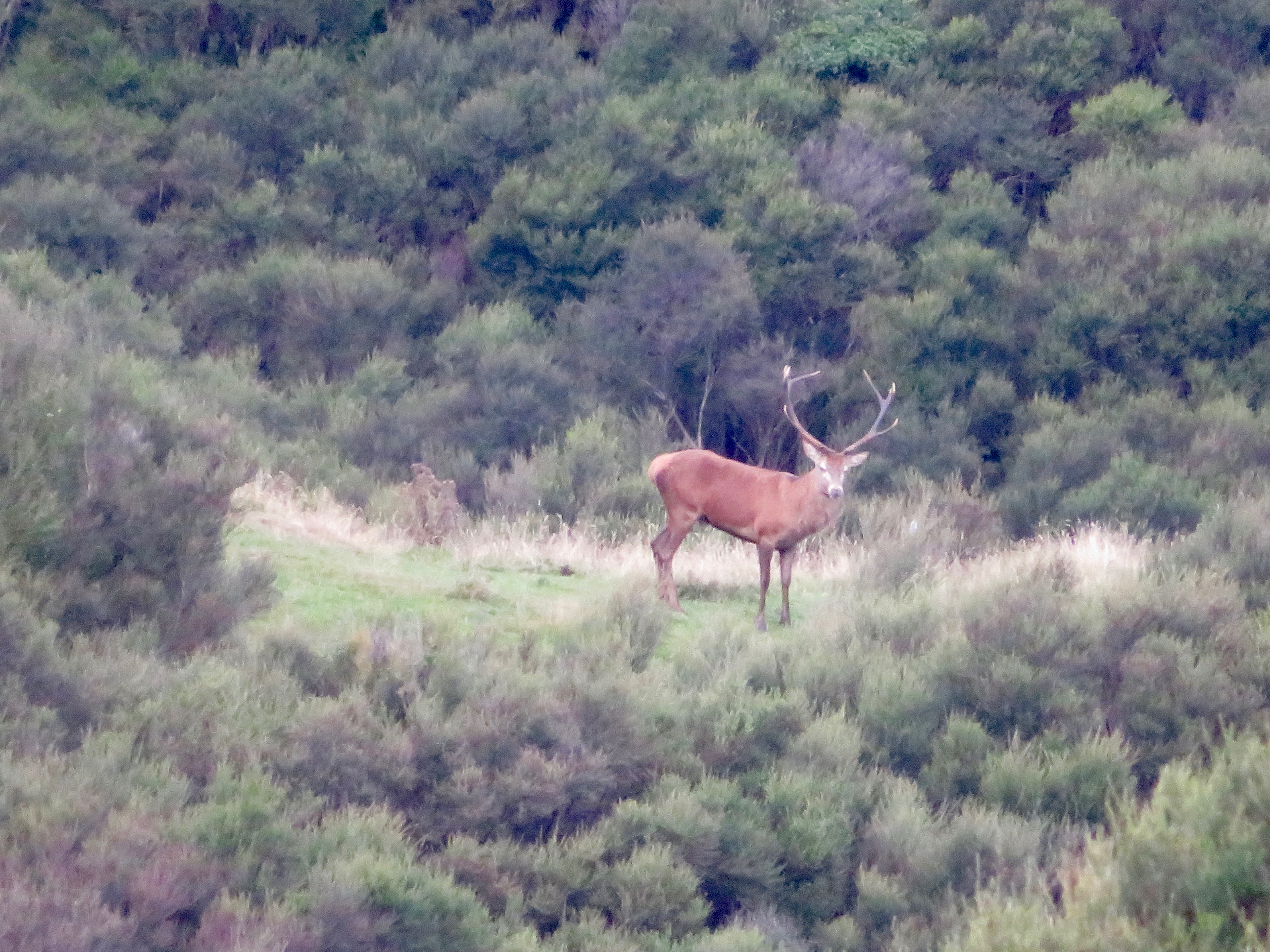 Name:  IMG_2334.jpeg
Views: 410
Size:  3.97 MB